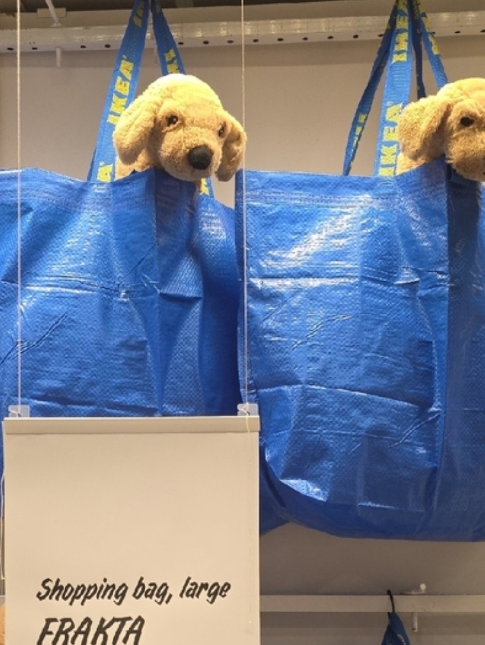 NWT: (2) IKEA BLUE FRAKTA LARGE SHOPPING BAGS